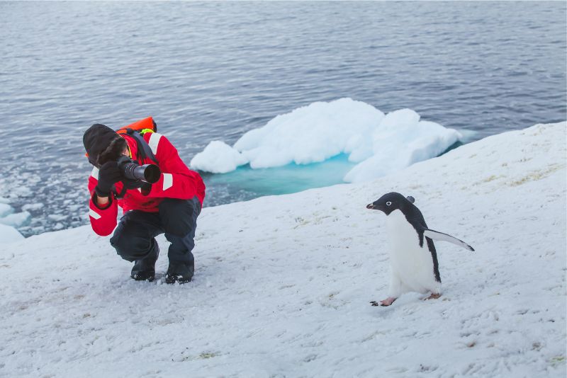 An unforgettable Expedition to Antarctica 