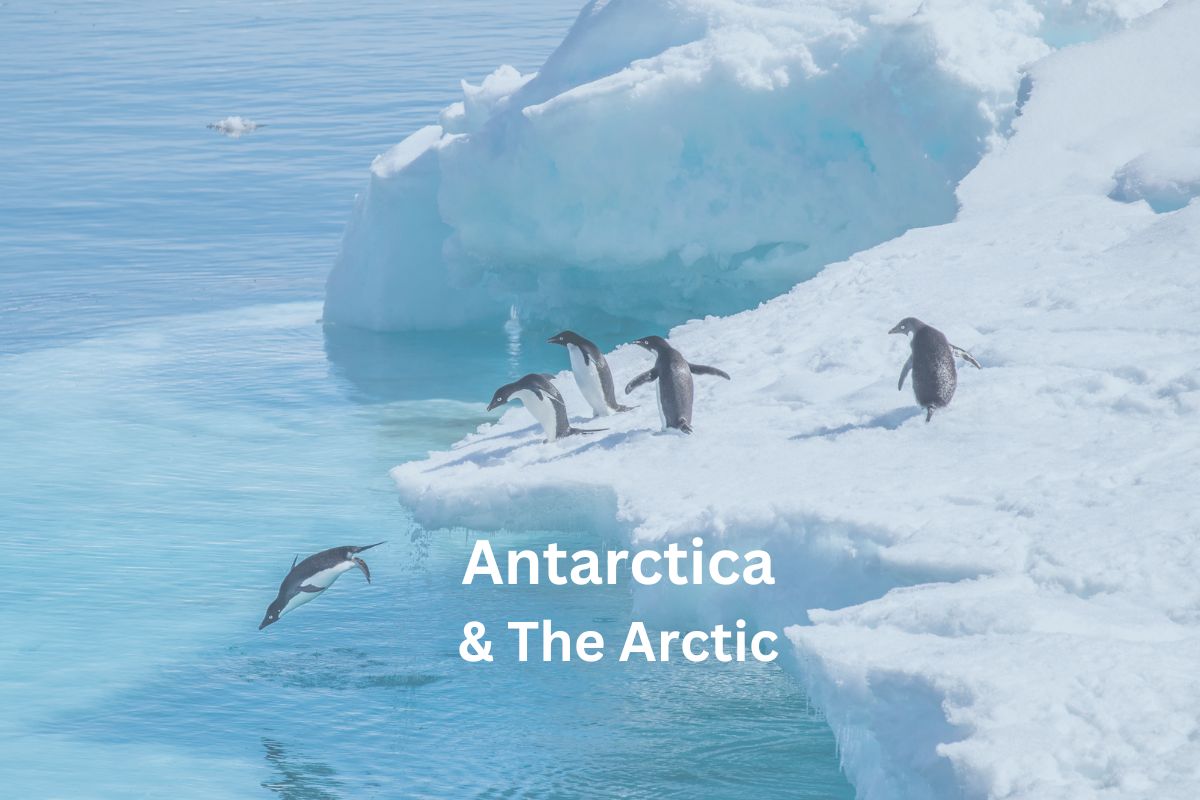 Travel to the Polar Regions, The Arctic Circle and Antarctica