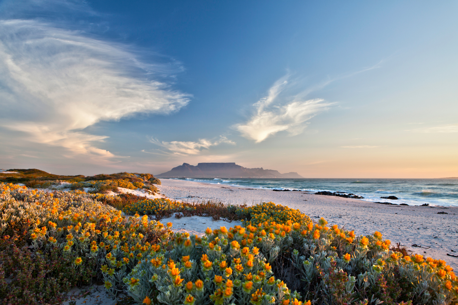 Journey through South Africa and Victoria Falls with safari