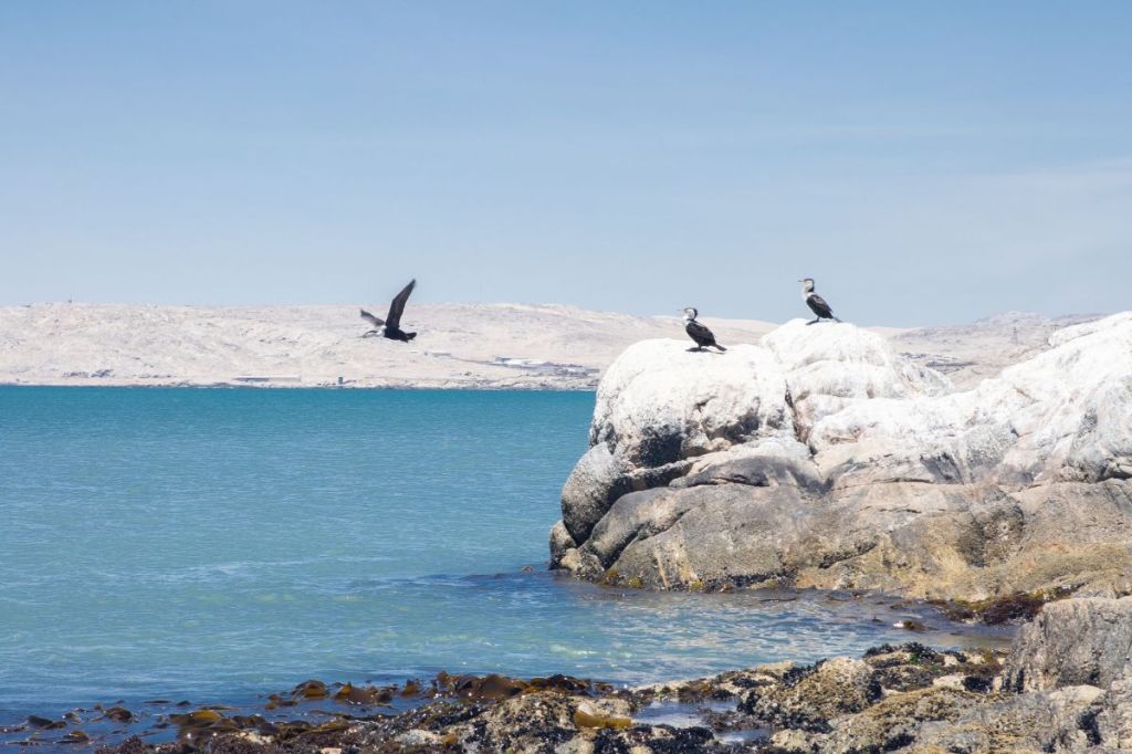 Explore Africa by cruise as you sail in luxury along the Ivory Coast, Canary Islands, and more