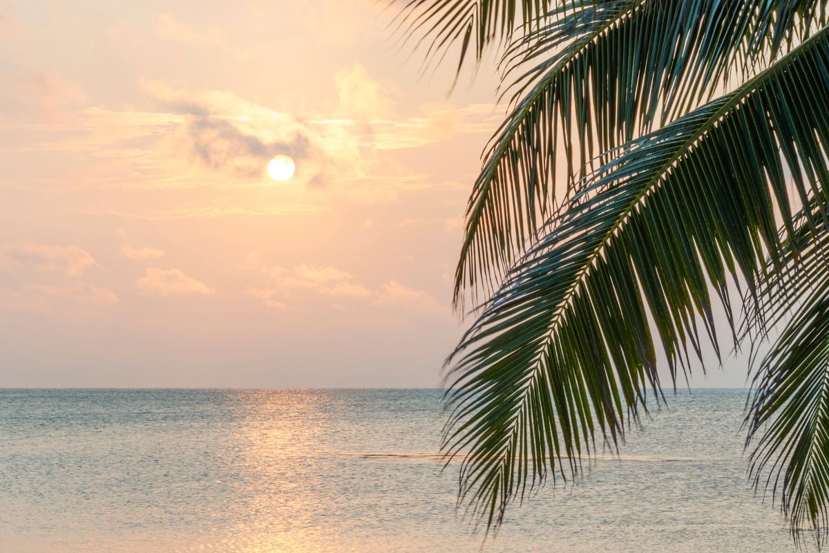 Sail Miami to Rio De Janeiro, sail in complete luxury exploring all the gems of the Caribbean