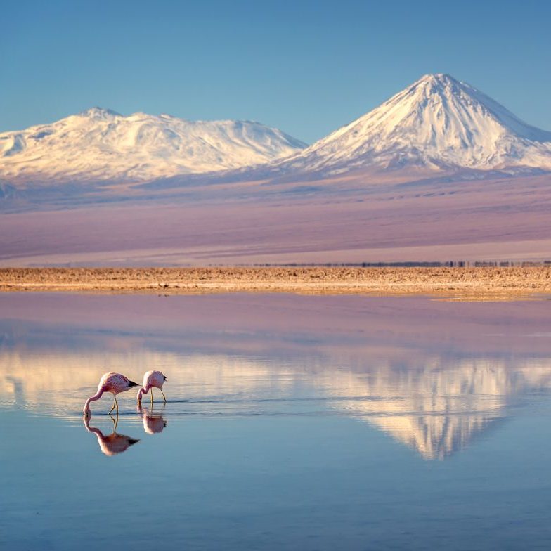 This epic South American journey takes in the iconic Incan ruins of Machu Picchu, Bolivia’s Uyuni salt flats, magnificent Lake Titicaca and the pristine rainforests of the Amazon.