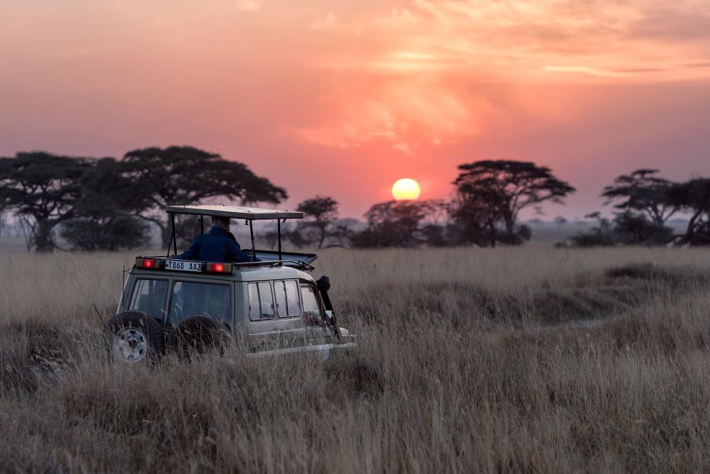 Travel across South Africa, Victoria Falls, Zambia, and Botswana experiencing wildlife, culture, and landscapes