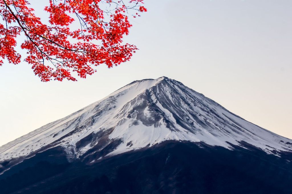 Explore Japan by land and by sea, visiting iconic sites such as Mount Fuji, Bamboo Forests, and Ancient temples 