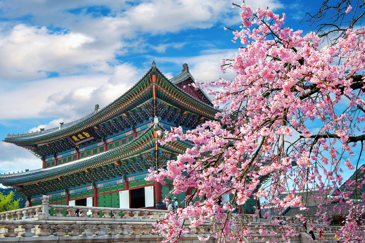 Immerse in a luxurious journey through South Korea and Japan, where ancient traditions meet modern marvels